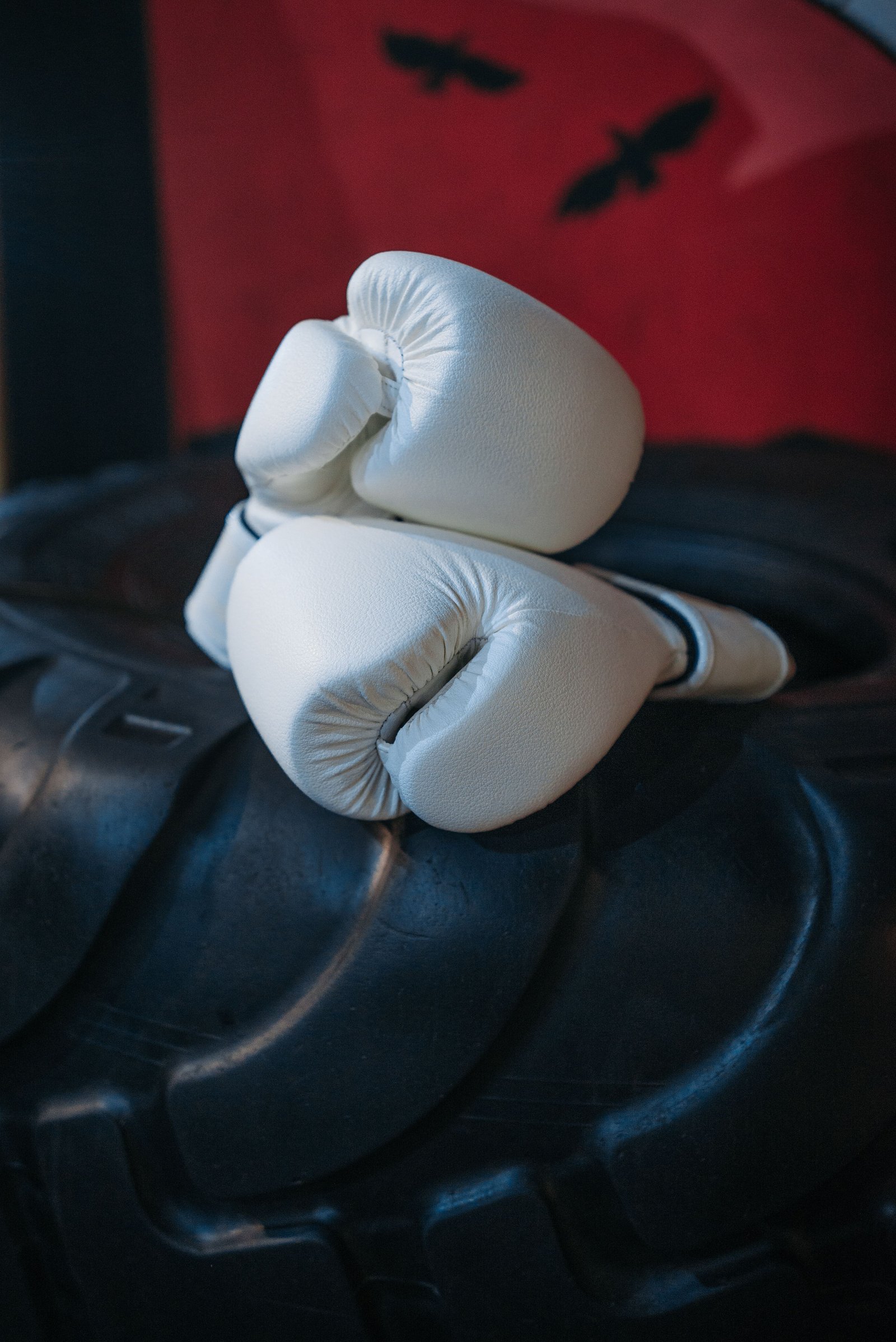 Boxing Gear